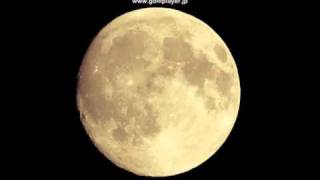 Grapefruit Moon (Live) / Tom Waits