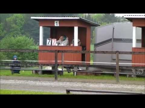 Kronshof 2013 - Fláki frá Blesastöðum - T3 - isibless