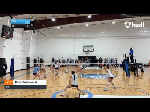 Kate's Digging highlights from PLQ1 on 1/4/26