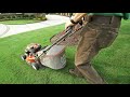 Utah Grass Seeds - Green Castle Lawn Care and Pest Control