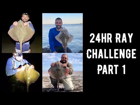 The 24 Hour Ray Grand Slam Challenge... Part 1. Epic Bristol Channel fishing!!