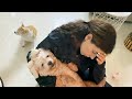 Cherry Broke Her LEG Ss Vlogs