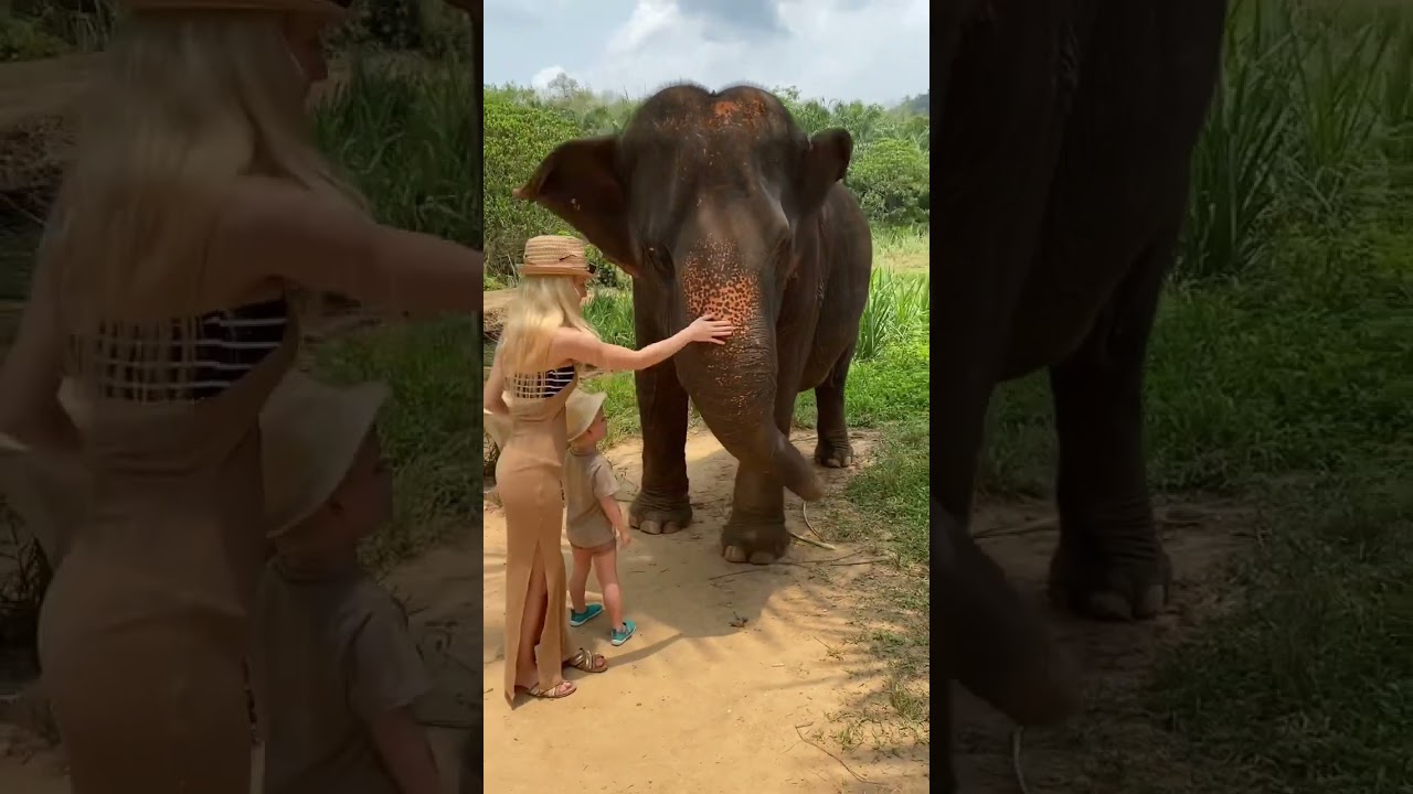 YouTube Short thumbnail