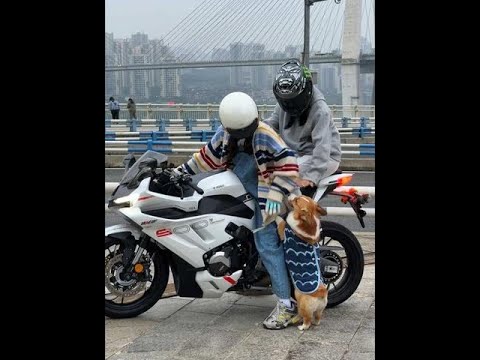 You are the one who sits, and you are also the one who doesn't sit. #Motorcycle