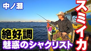 【濱生丸】スミイカ釣り　中ノ瀬