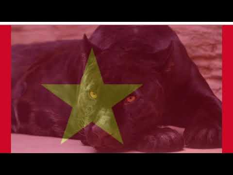 Jeren's - Come From Gwada (C.F.G)