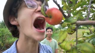 Apple Picking/Cider Making Part One