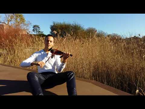 Luis Fonsi, Demi Lovato - Échame la culpa - Violín Cover Oscar Electricviolin