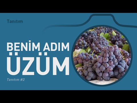 Benim Adım Üzüm tanıtım 2