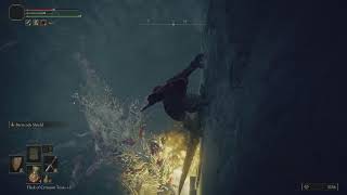 Elden Ring - Scary miniBoss underneath Stormveiled Castle