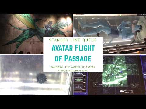 4K Standby Line Queue of Avatar Flight of Passage in Animal Kingdom Walt Disney World