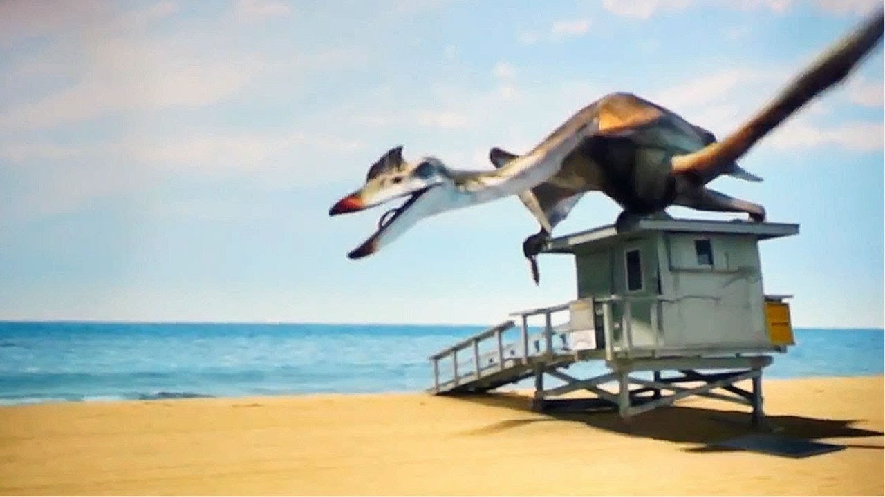 YouTube video: YouTube video player