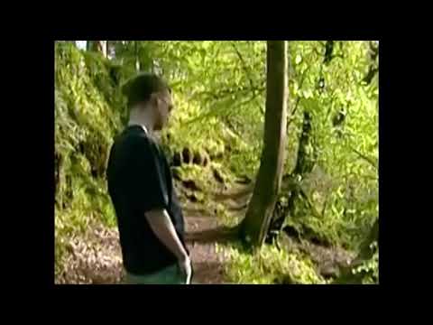 sam gellaitry - a new dawn (official audio)