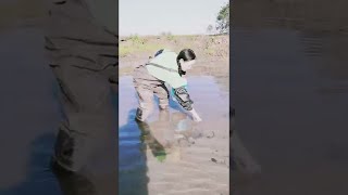 Pretty Farmer Collects Dead Eels in Her Pond #shorts #ShanboFishing