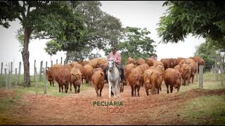 Miniatura do vídeo
