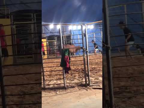 Circo de touros em Antas Bahia