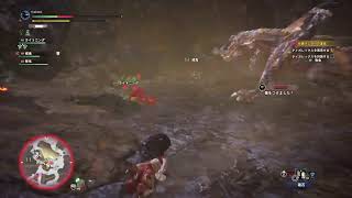 モンスターハンターワールドアイスボーン(絶対強者、ティガレックス）