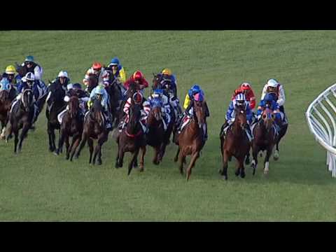 2017.05.20 Darley Goodwood (AUS) - Vega Magic