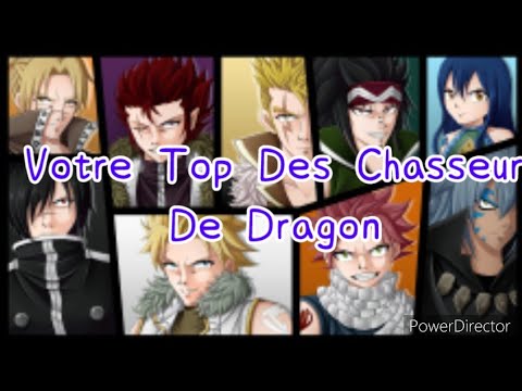 Votre Top 8 des Chasseurs de Dragons ~Fairy Tail~