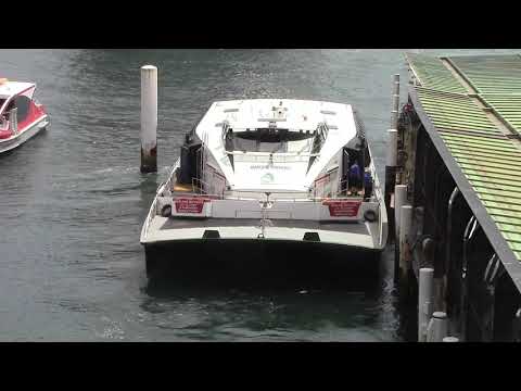 Thumbnail for Cruise Ships in Sydney - Majestic Princess