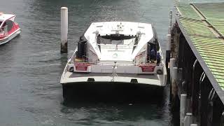 Cruise Ships in Sydney - Majestic Princess