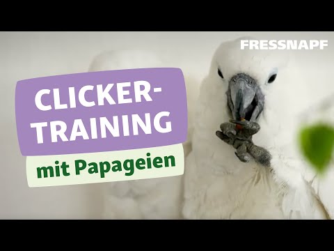 Die Behandlung gribka der Nägel vom Volksmittel Die Medikamente für die Behandlung onicholisissa der Nägel