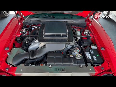 2004 Mustang Mach 1 Cold Start