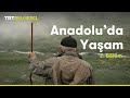 Anadolu'da Yaşam | Yayla | TRT Belgesel