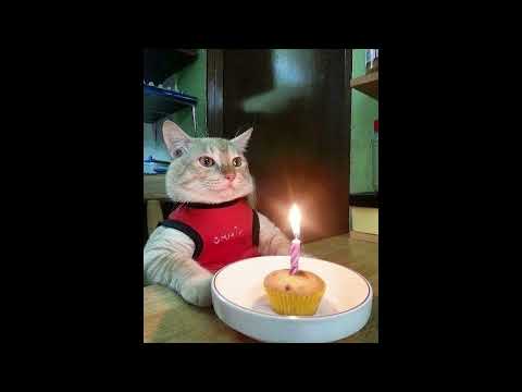 [FREE] smino x tobi lou type beat " Happy B-day 🎉 " - prod.shushuboi