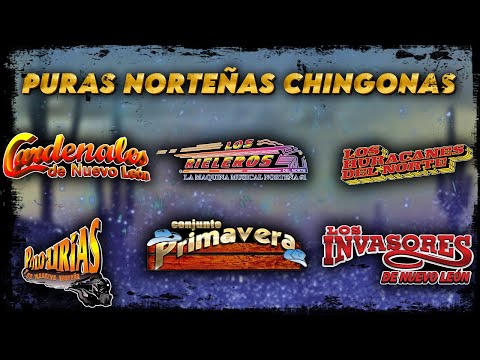 🎶Norteñas Legendarias: Éxitos de Los Huracanes, Los Rieleros, Conjunto Primavera, Cardenales y Más