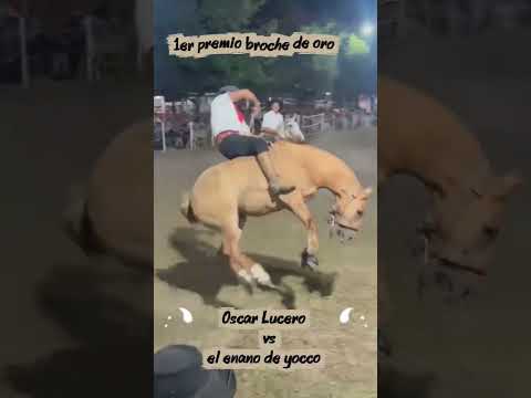 SUBCAMPEÓN EN DIAMANTE ENTRE RIOS, 2026