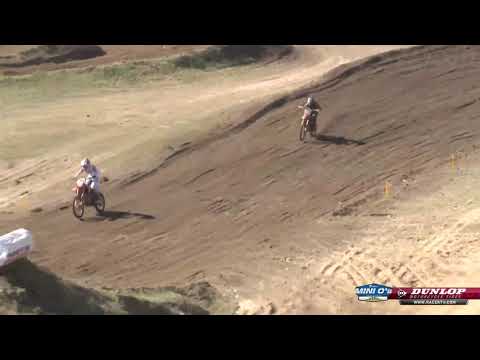 2019 Mini O's MX - 450 C Limited