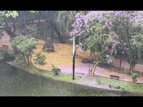 JOVEM DIONISIO - Crochê