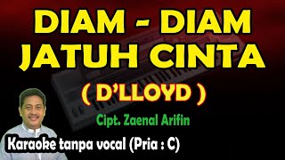 Download lagu Diam diam jatuh cinta karaoke D'lloyd mp3