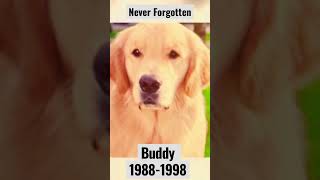 Download lagu Air Buddy mp3