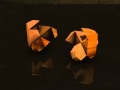 Solution To Blooming Star Puzzle