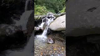 [記錄] 西坑林道至獅坑橋