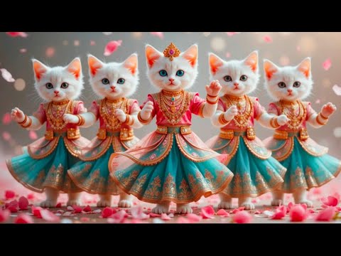 Dudi Dudi Dam Dam 💃💃💃 | Cutest  Cat Dancing on Dudi Dudi Dam Dam😺 #dudidudi #dumdum #catdancing