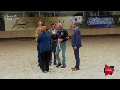 80 JAHAMAL DE CARTHEREY Bronze winner Senior Stallions championship