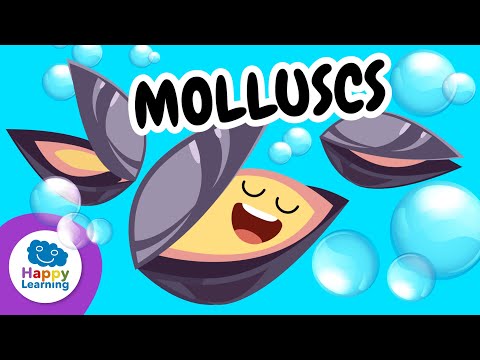 🐚🦑 MOLLUSCS | Marine Animals for Kids | Educational Videos for Children | @HappyLearningENG