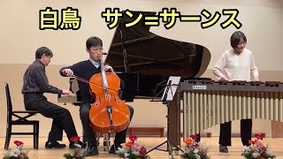 Download lagu 白鳥　チャイコフスキー　チェロ＆マリンバ＆ピアノ mp3