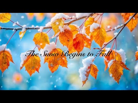 The Snow Begins to Fall, By: Andy Beck 