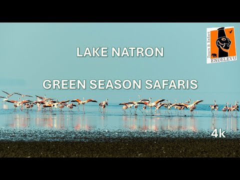 Lake Natron Video