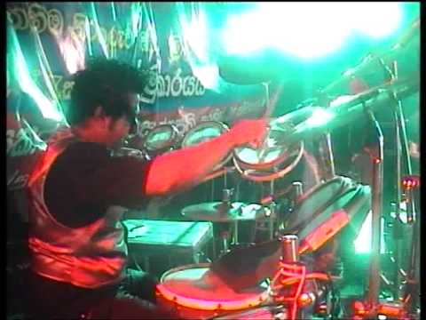 aalawantha neth widaha sunflower