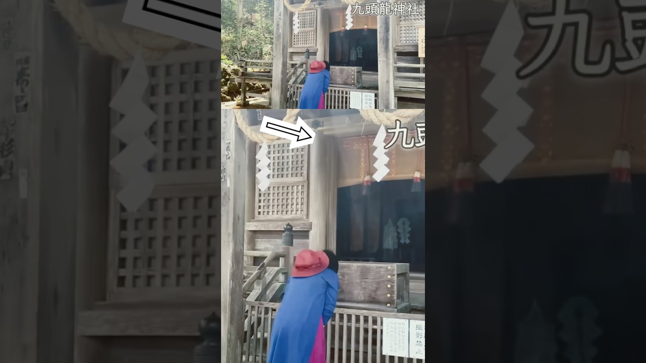 見えましたか？#神さま見える妻#戸隠神社#龍神 #奇跡 #龍 @Kaori_rainbow