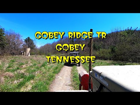 Gobey Ridge Trail  4-15-2022 Gobey, Tennessee