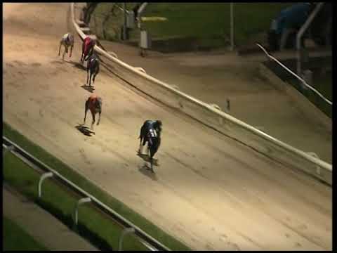 2017 CORAL OLYMPIC - HEAT 1 - T6 CALICO BLACKJACK