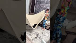 Download lagu funny kitten keeps coming back mp3