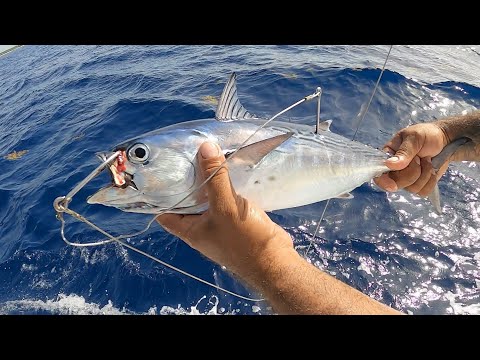 Pesca con Carnada Gigante en Mar Abierto | NUEVO RÉCORD!!