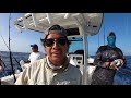 Pesca con Carnada Gigante en Mar Abierto | NUEVO RÉCORD!!